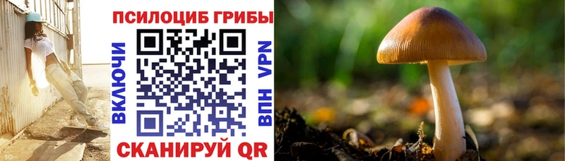 Галлюциногенные грибы Psilocybine cubensis  что такое   Горняк 